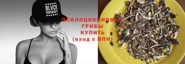 дурь Лагань
