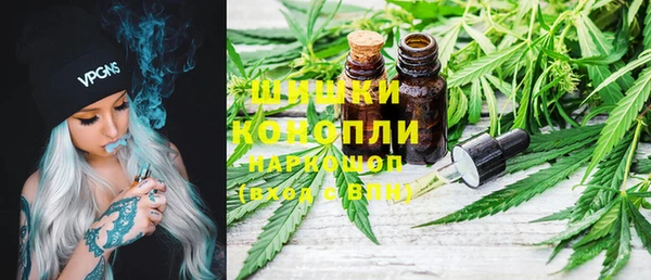 эйфоретик Ладушкин