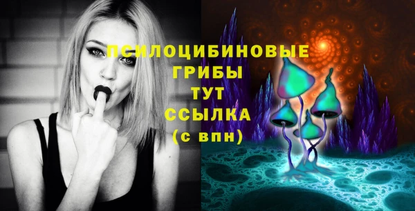 эйфоретик Ладушкин