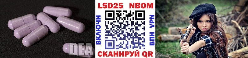 гидра рабочий сайт  Заозёрск  Лсд 25 экстази ecstasy  как найти наркотики 